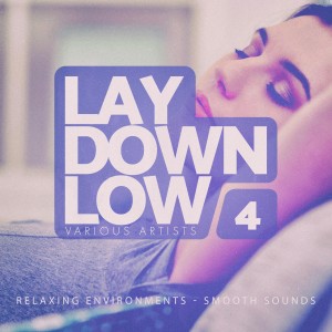 Album Lay Down Low, Vol. 4 from Various