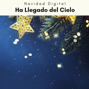 อัลบัม Ha Llegado del Cielo ศิลปิน Navidad Digital