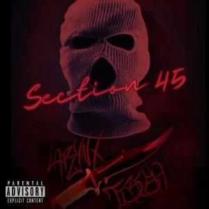 收聽Larynx的Section 45 (feat. Tbi$h) (Explicit)歌詞歌曲