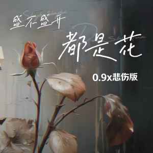 Album 盛不盛开都是花 (0.9x悲伤版) from 何雅楠