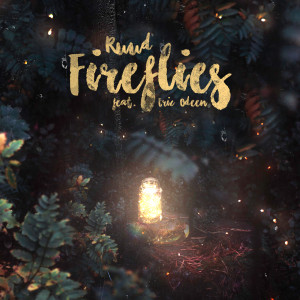 ดาวน์โหลดและฟังเพลง Fireflies พร้อมเนื้อเพลงจาก RUUD