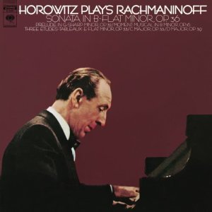 收聽Vladimir Horowitz的Piano Sonata No. 2 in B-Flat Minor, Op. 36: II. Non allegro - Lento歌詞歌曲