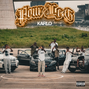Listen to money song with lyrics from Karlo