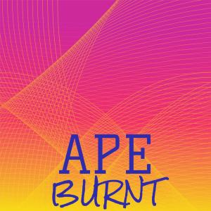 Album Ape Burnt oleh Various