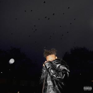 收聽rinne的Haunted (feat. Omgseii) (Explicit)歌詞歌曲