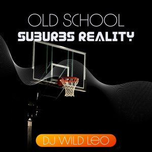 ดาวน์โหลดและฟังเพลง Bad Idea พร้อมเนื้อเพลงจาก DJ Wild Leo