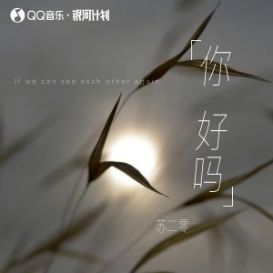 Album 你 好吗 from 苏二零