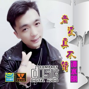 Album 酒醉的蝴蝶-歪唱版 from 谭水明