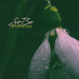 收聽Sobe的Snowdrops歌詞歌曲