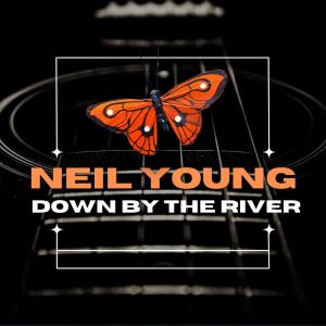 Neil Young Down By The River Live
