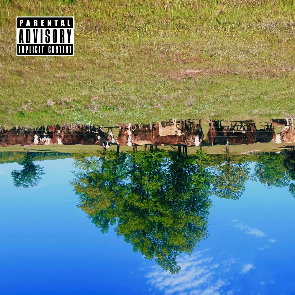 ADHD (Explicit)