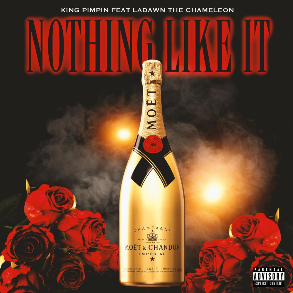 Nothing like it (feat. King Pimpin' & Ladawn The Chameleon) (Explicit)