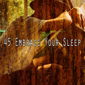 Listen to Plot to Sleep song with lyrics from Sounds of Nature Relaxation