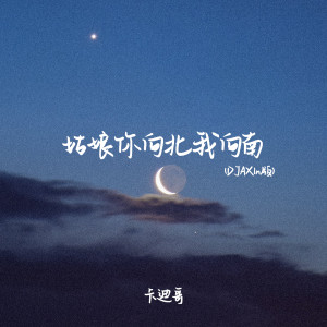 Album 姑娘你向北我向南(DJAX1n版) from 卡迪哥