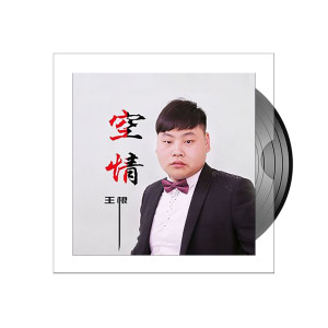 Listen to 空情 song with lyrics from 王根