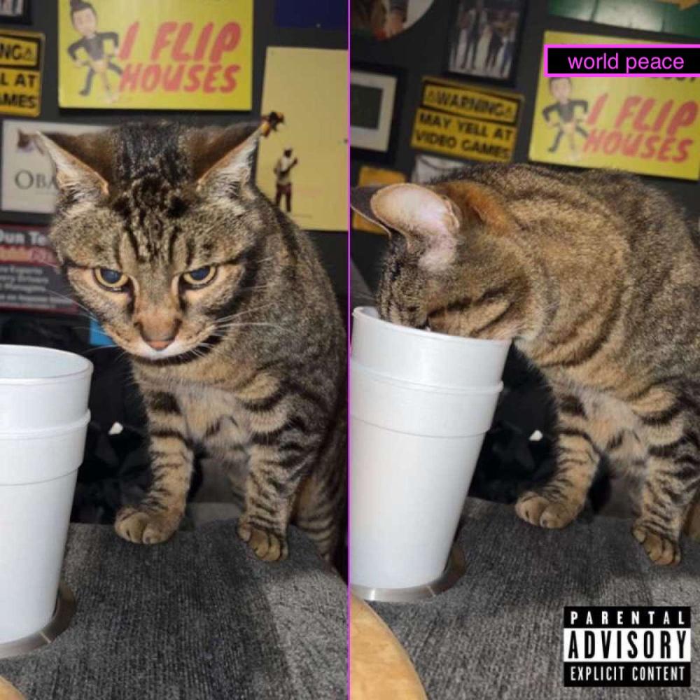 is you lyin (Explicit)