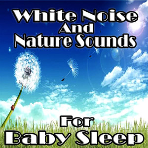收聽White Noise Babies的Sweet Dreams歌詞歌曲
