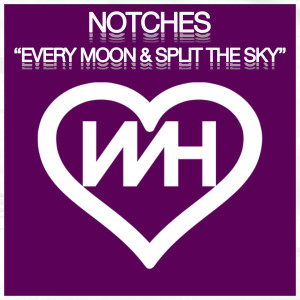 Notches的专辑Every Moon / Split The Sky