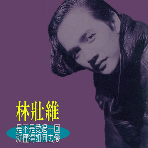 ดาวน์โหลดและฟังเพลง Qi Shi Wo Ye Hui Nan Guo พร้อมเนื้อเพลงจาก 林壮维