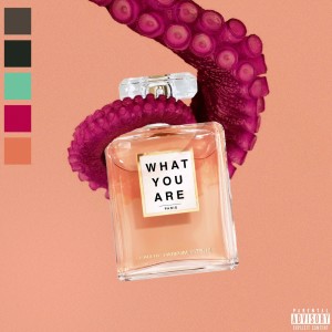 Album WHAT YOU ARE (Explicit) from Bardo