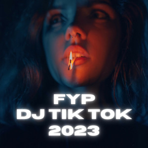 Dj viral tiktok的專輯FYP DJ TIK TOK 2023