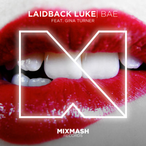收聽Laidback Luke的Bae (Extended Mix)歌詞歌曲