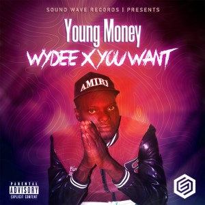 Album Wydee X You Want (Explicit) oleh Young Money