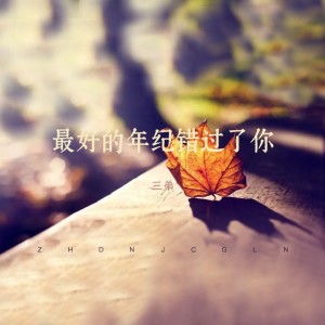 Listen to 最好的年纪错过了你 (0.8x降速版) (完整版) song with lyrics from 三弟
