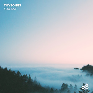 ดาวน์โหลดและฟังเพลง You Say พร้อมเนื้อเพลงจาก tmysongs