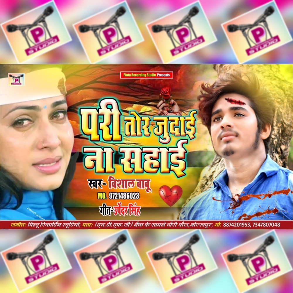 Pari Tor Judai Na Sahai (Bhojpuri)