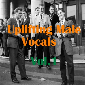 Phil Harvey的專輯Uplifting Male Vocals, Vol.1