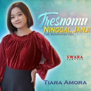 Listen to Tresnomu Ninggal Janji song with lyrics from Tiara Amora