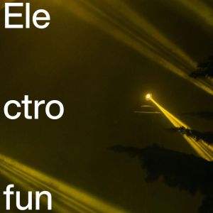 Various Artists的專輯Electrofun Vol.1