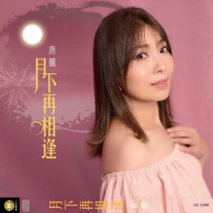 Listen to 月下再相逢 song with lyrics from 唐俪