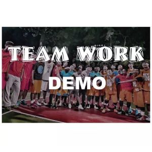 Team Work (Demo)