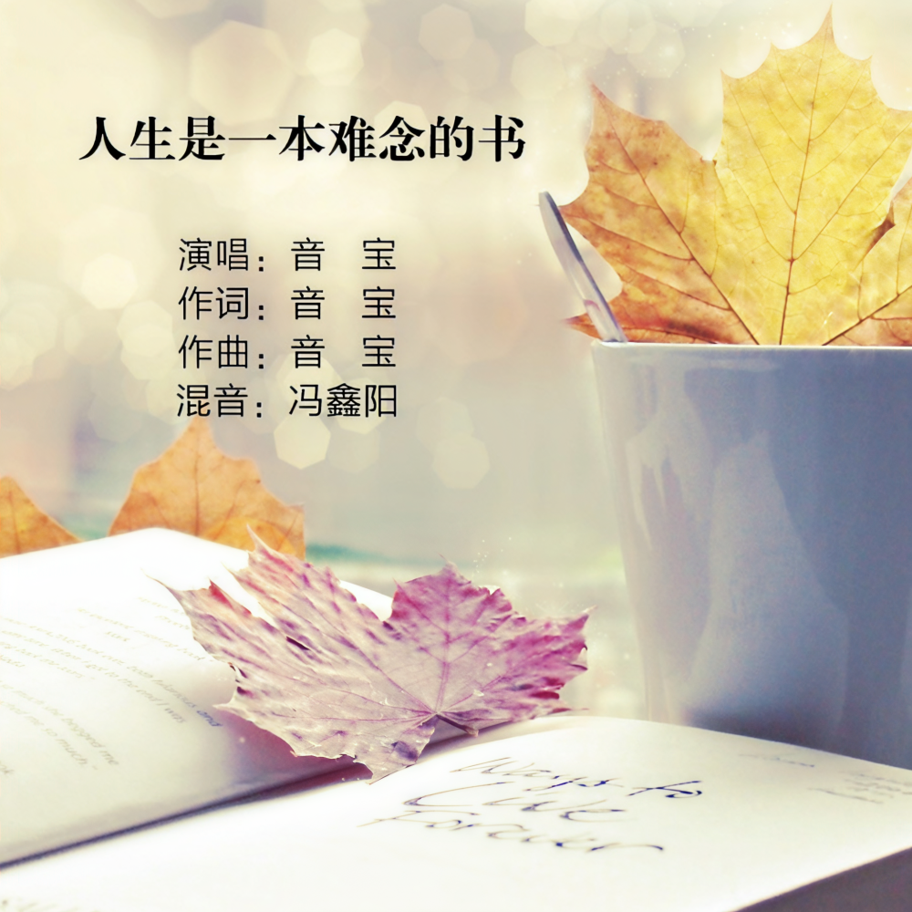 人生是一本难念的书 (音宝版伴奏)