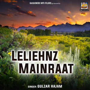 Gulzar Hajam的专辑Leliehnz Mainraat