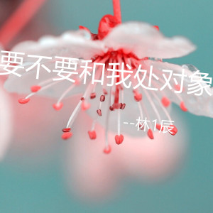 Dengarkan 要不要和我处对象 lagu dari 林1辰 dengan lirik