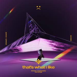 ดาวน์โหลดและฟังเพลง that's what i like - slowed + reverb พร้อมเนื้อเพลงจาก ดารานักร้องหลายคน