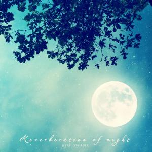Album Reverberation Of Night from Kim Gwanu