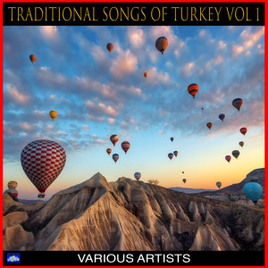 Listen to Bu Mu Astan Nasibimiz song with lyrics from Sabite Tur Gülerman