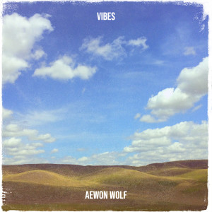 Listen to Vibe Rate song with lyrics from Aewon Wolf