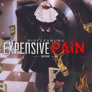BIGFLEX NUNU的專輯EXPENSIVE PAIN (Explicit)