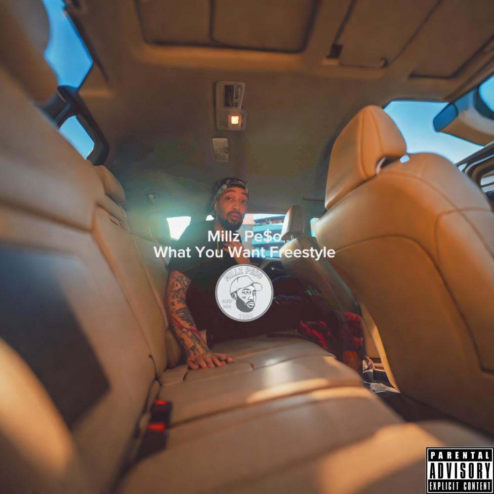 What You Want Freestyle (Explicit)