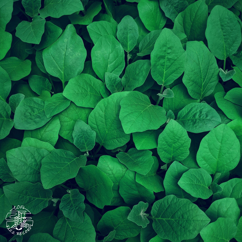 Greenery