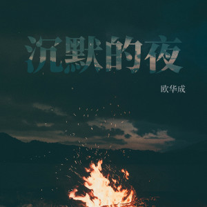 歐華成的專輯沉默的夜