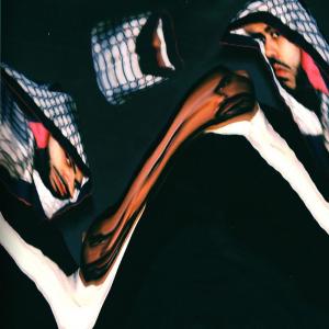 收听Die Achse的Patient歌词歌曲