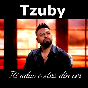 Listen to Iti aduc o stea din cer song with lyrics from Tzuby