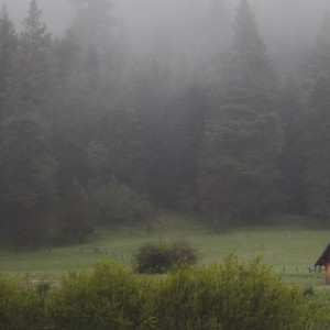 Dengarkan Daybreak lagu dari Sleep Sound Library dengan lirik