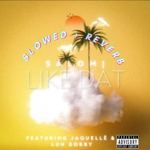 ดาวน์โหลดและฟังเพลง Like Dat (Slowed) (Explicit) พร้อมเนื้อเพลงจาก Salomi